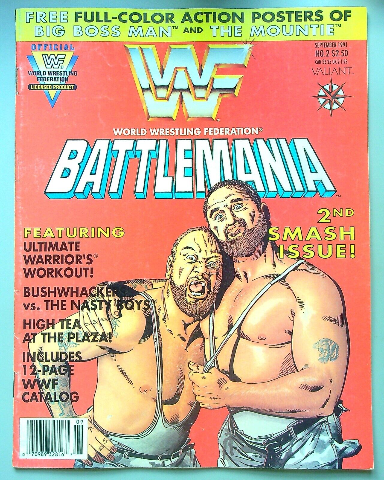 WWF Battlemania #2 ~ VALIANT 1991 ~ BUSHWACKERS Ultimate Warrior FN