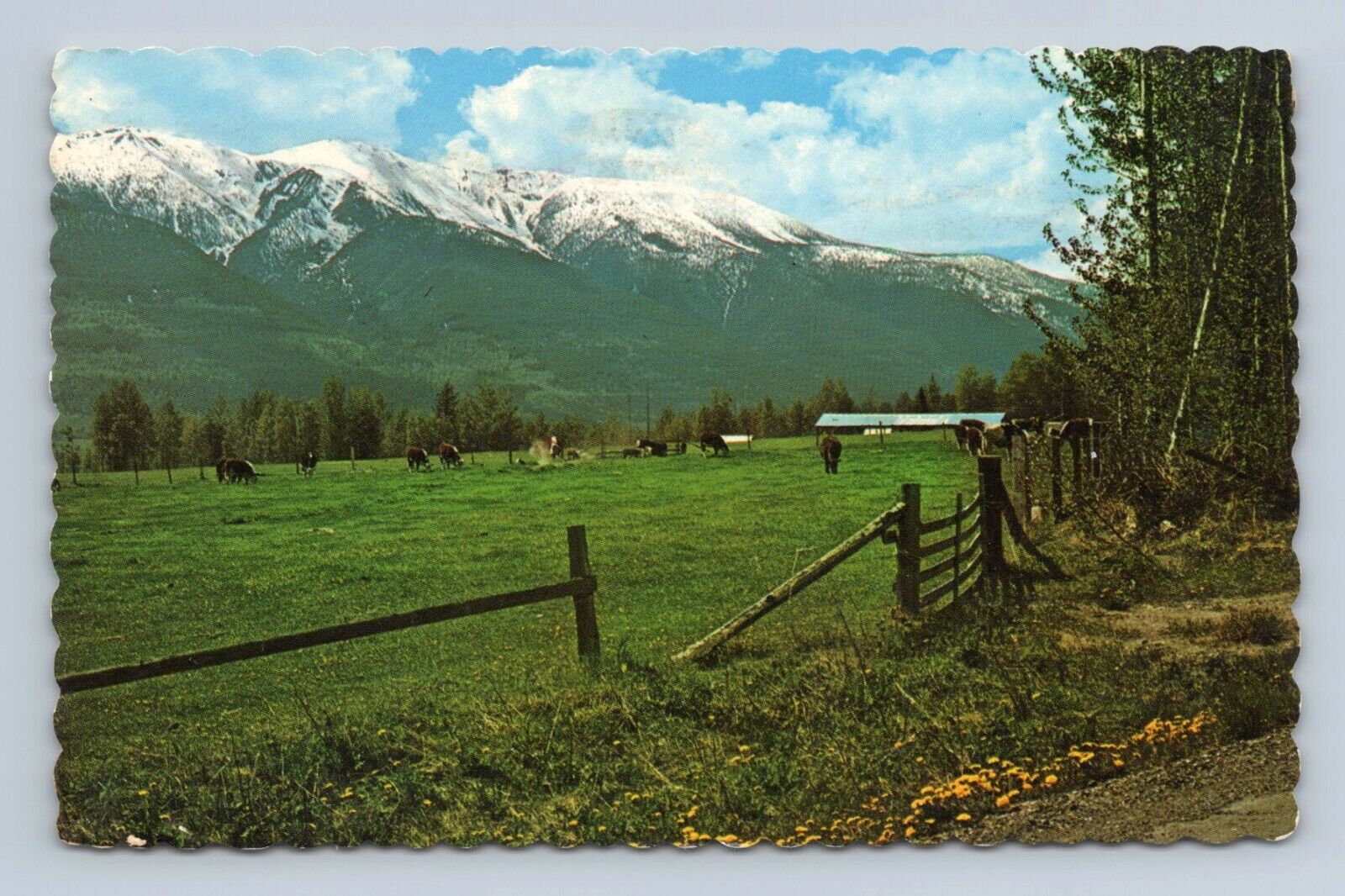 Yellowhead Highway Route 16 McBride British Columbia Canada 1979 vtg postcard 