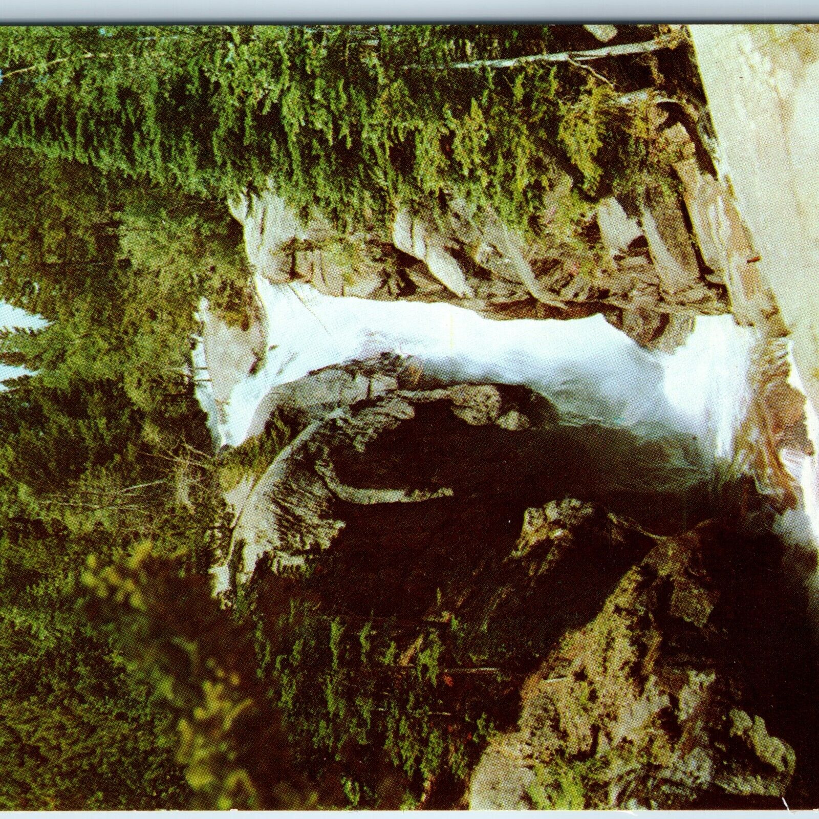 c1950s Chasm Falls, Horseshoe Park, CO Rocky Mountain National Park Sanborn A197
