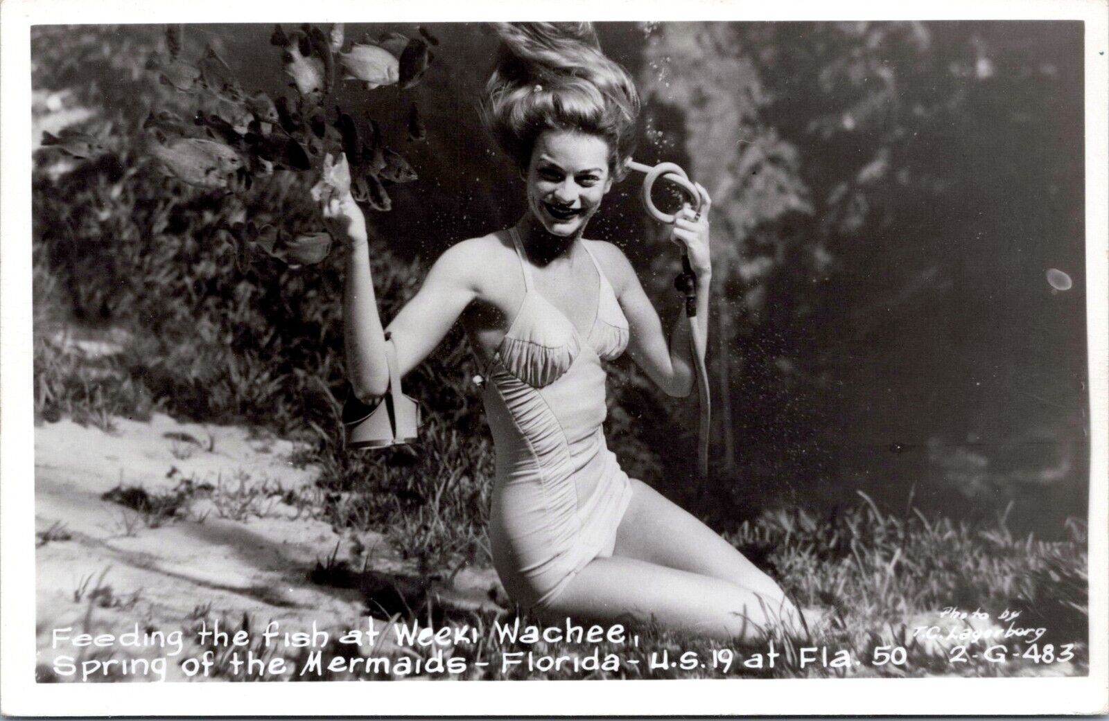 RPPC Weeki Wachee Florida Mermaid, Feeding Fish- 1950s Photo Postcard