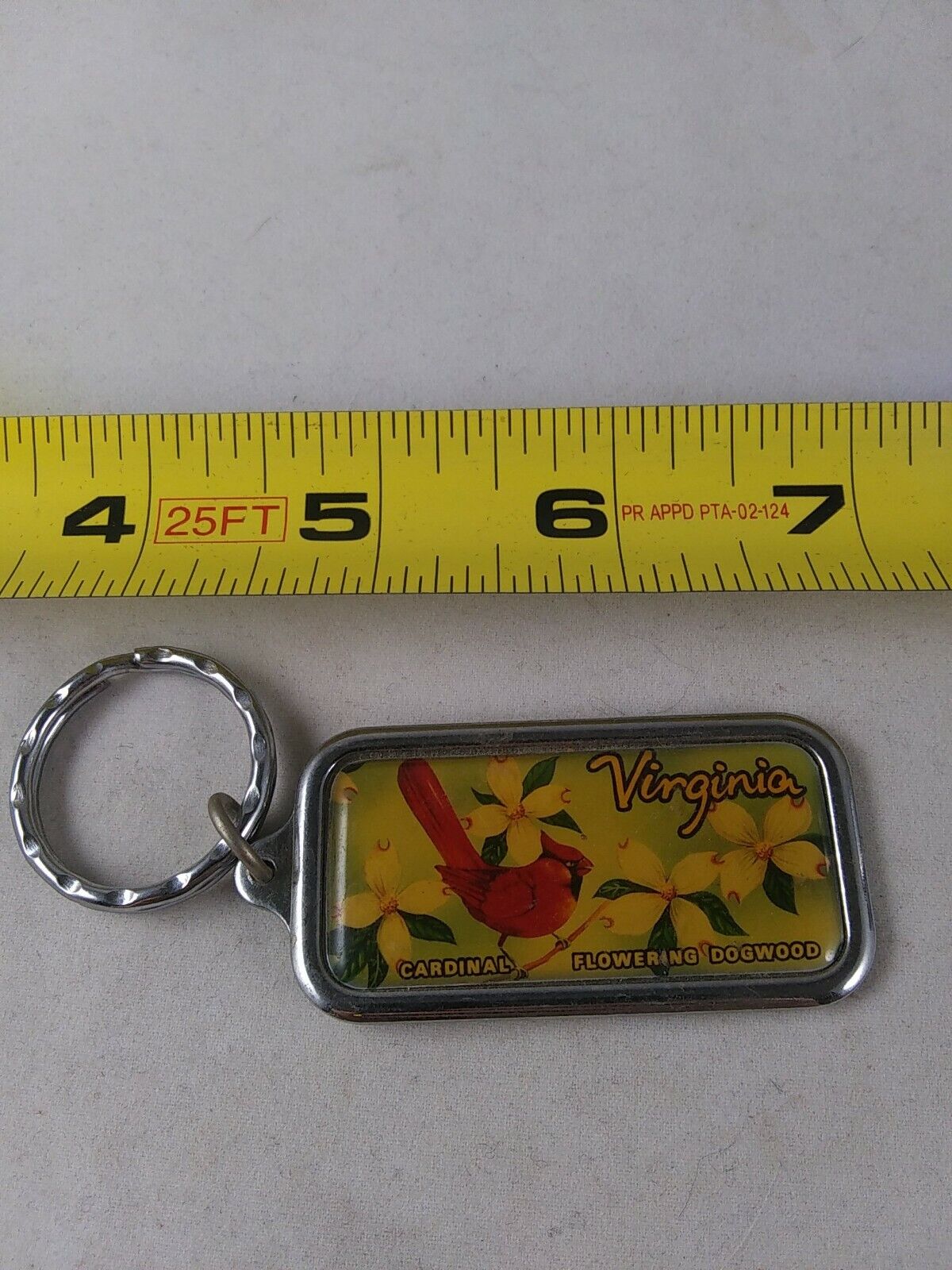 Vintage Virginia DOGWOOD CARDINAL Keychain Fob Key Ring Hangtag  *QQ17