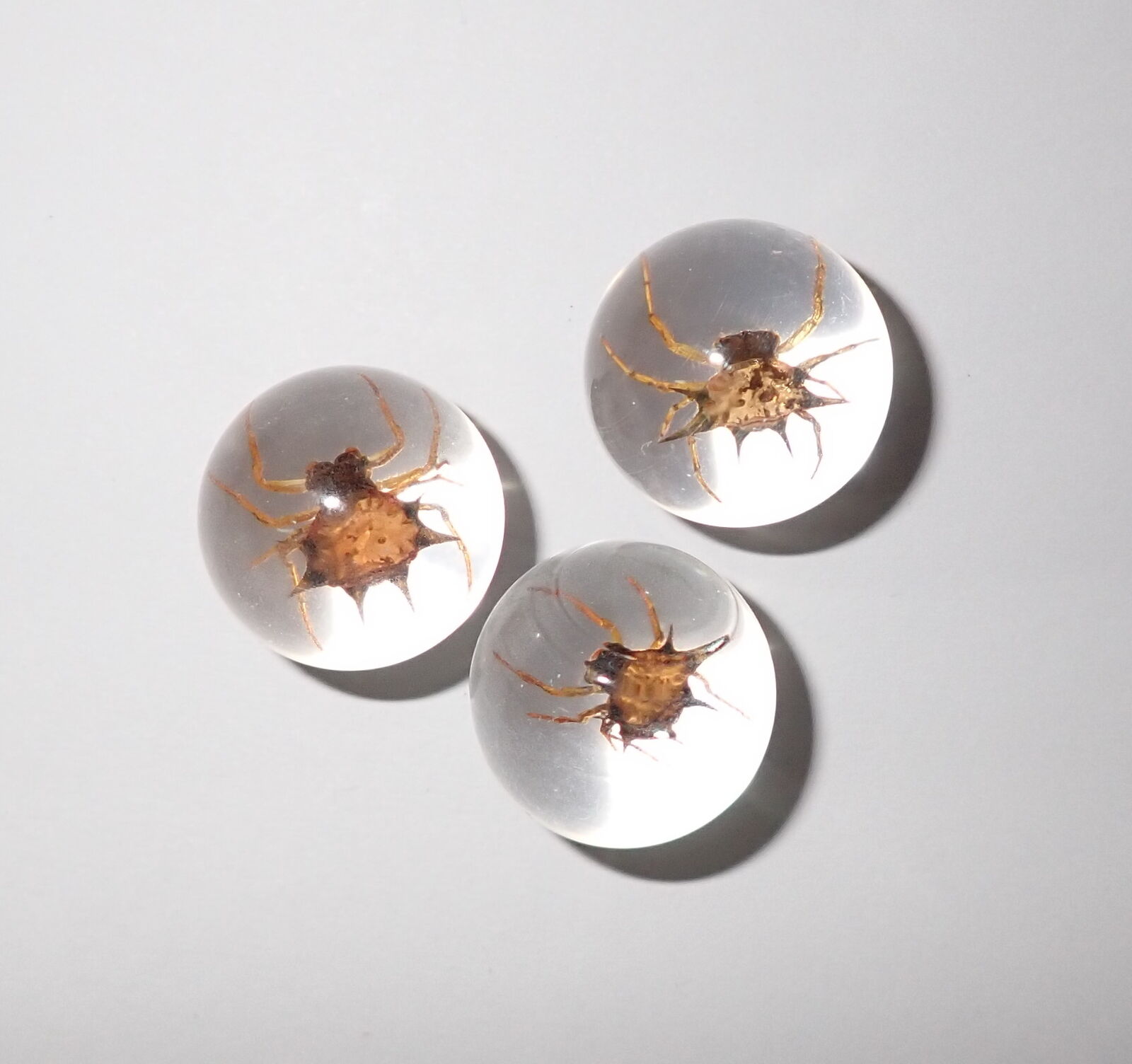 Spiny Spider Specimen 2 cm Clear Resin Marble Sphere  3 Pieces Lot