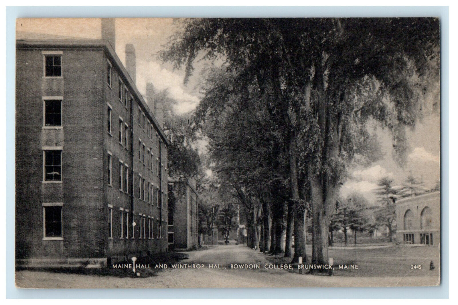 c1910s Maine & Winthrop Hall, Bowdoin College, Brunswick ME Unposted Postcard