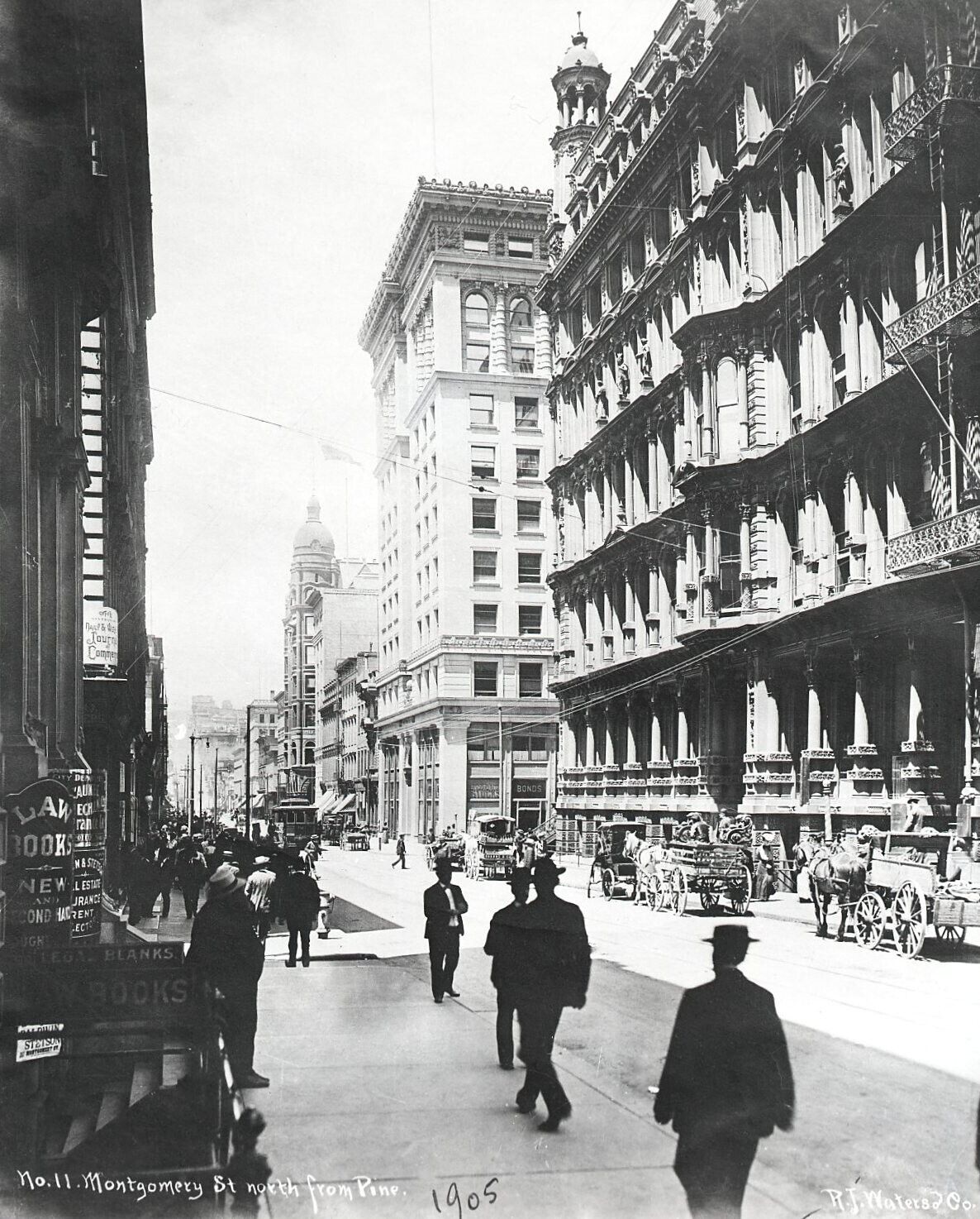 1905 SAN FRANCISCO MONTGOMERY STREET at PINE w/KOHL BLDG.,HORSES&WAGONS~NEGATIVE