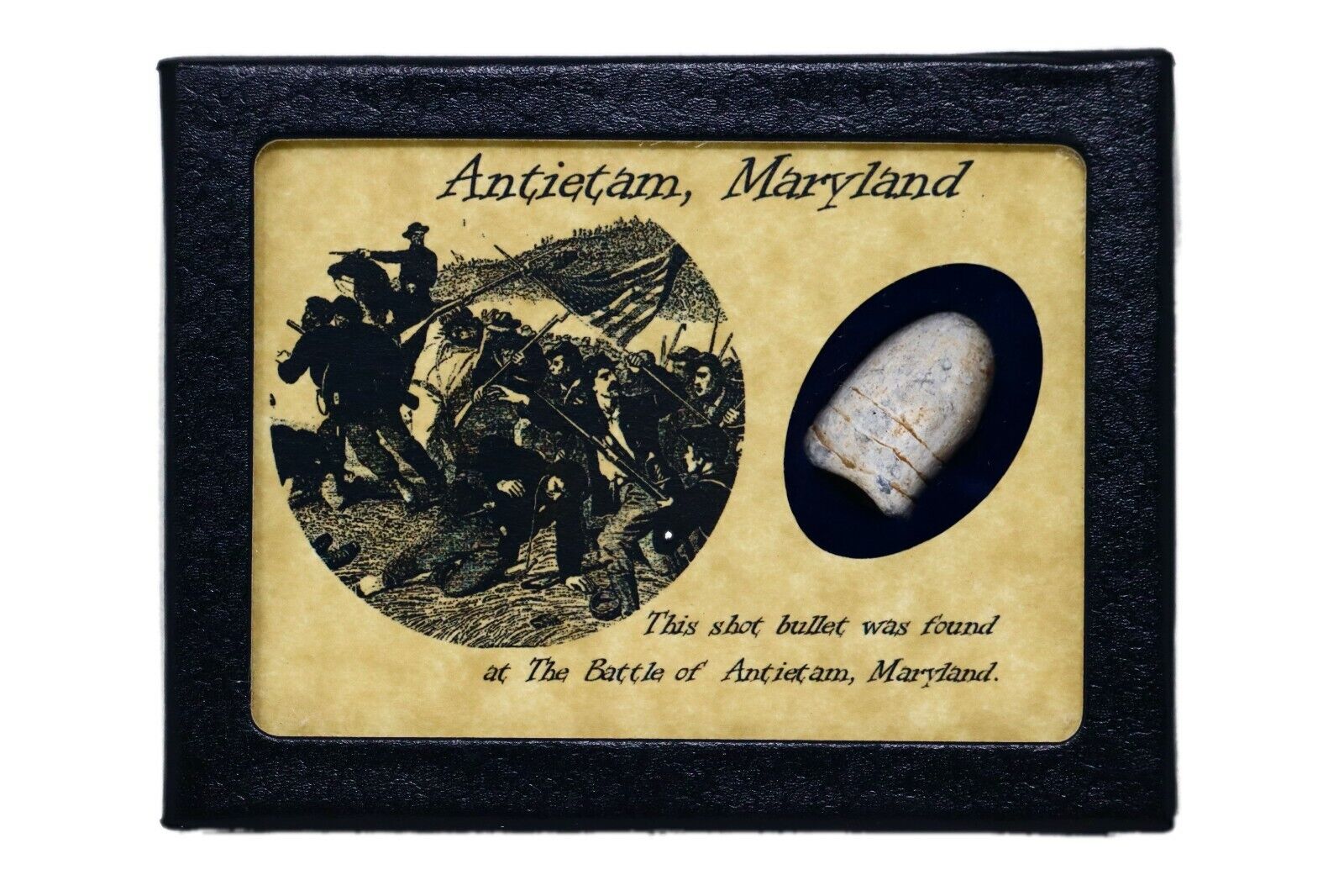 Civil War Bullet Relic from The Battle of Antietam, MD with Display Case and COA