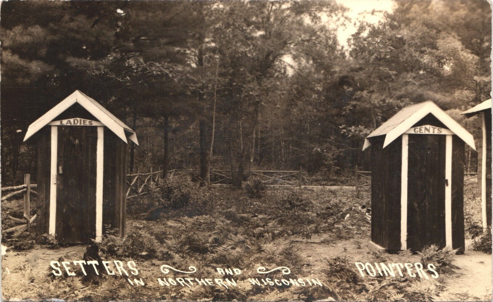 POINTERS & SETTERS real photo postcard rppc NORTHERN WISCONSIN WI 1940s outhouse