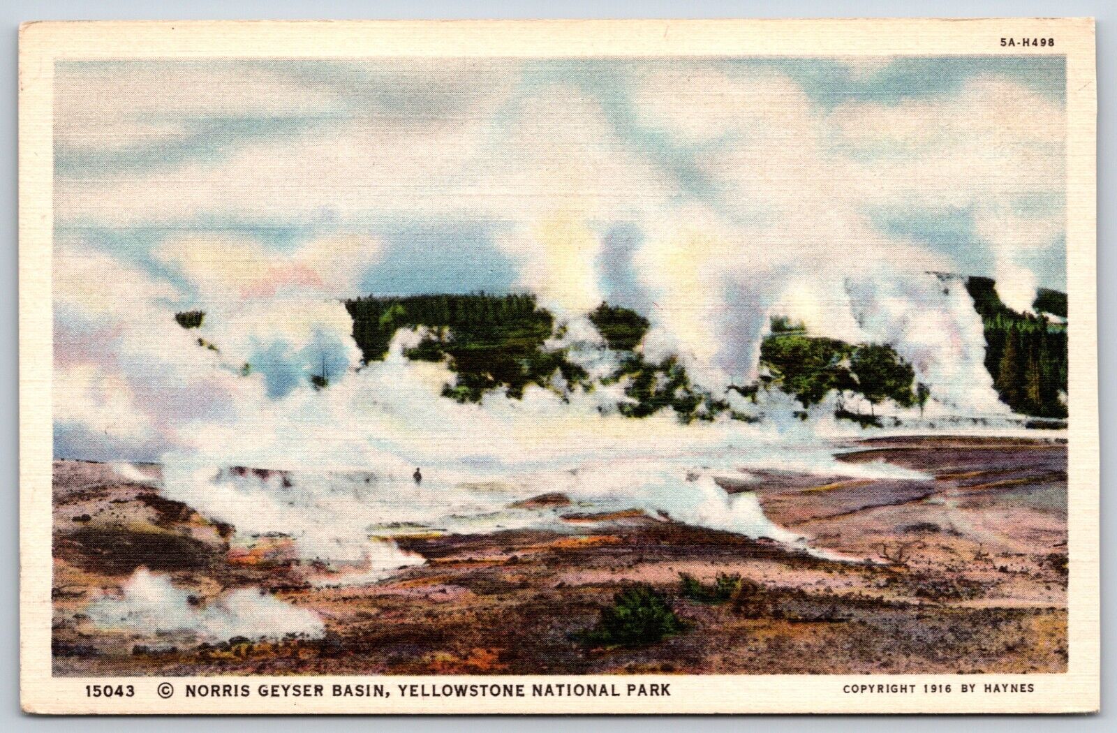 Postcard Norris Geyser Basin, Yellowstone National Park Unposted