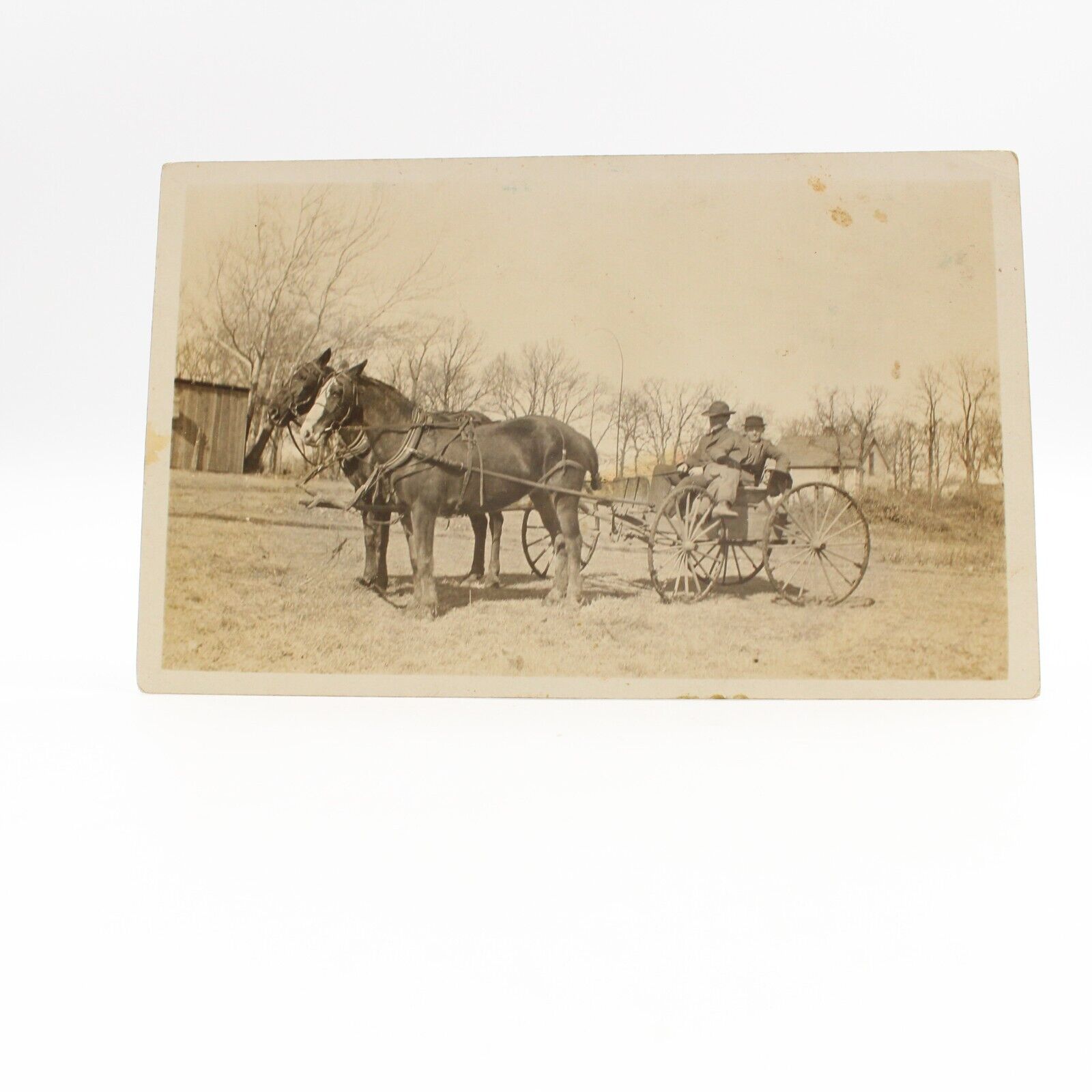 Vintage 1910s RPPC Real Photo Postcard Horse Buggy Horse Team Real Photo UNP