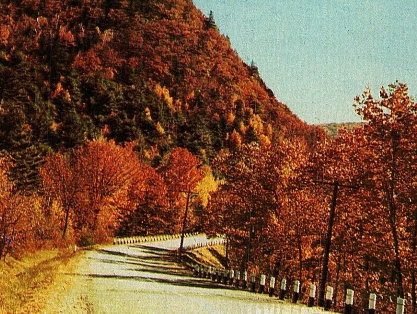 Postcard VT Fall Foliage Autumn Vermont Mountain Road VT353 Plastichrome
