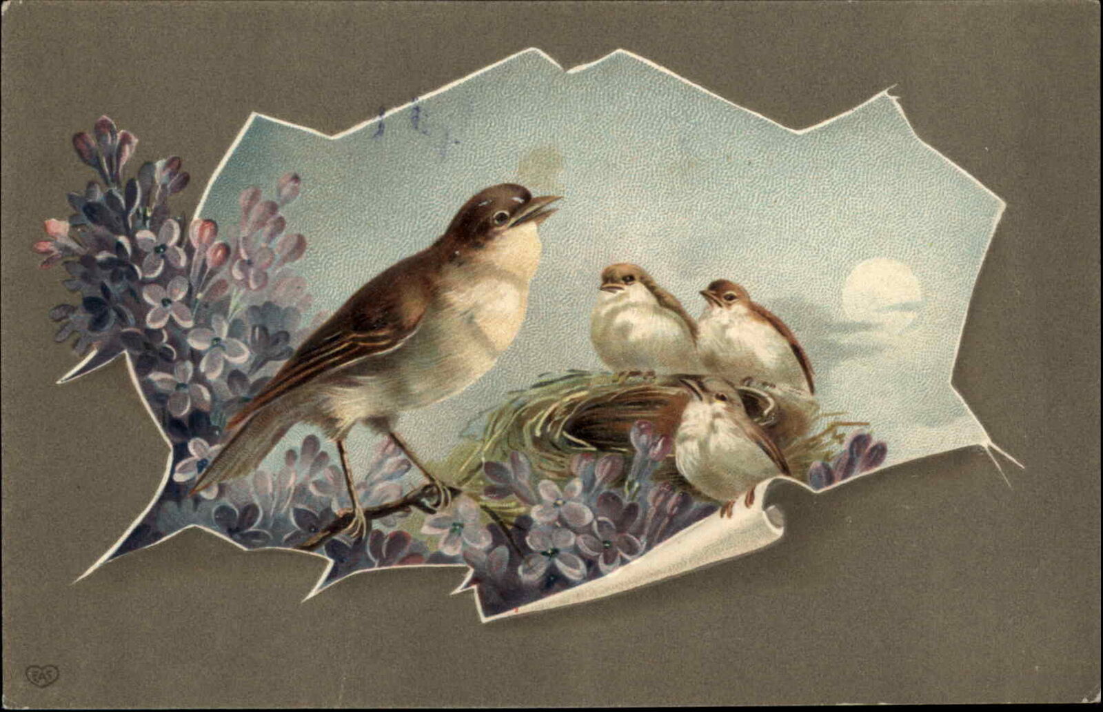 EAS Easter Song Birds in Nest c1910 Vintage Postcard