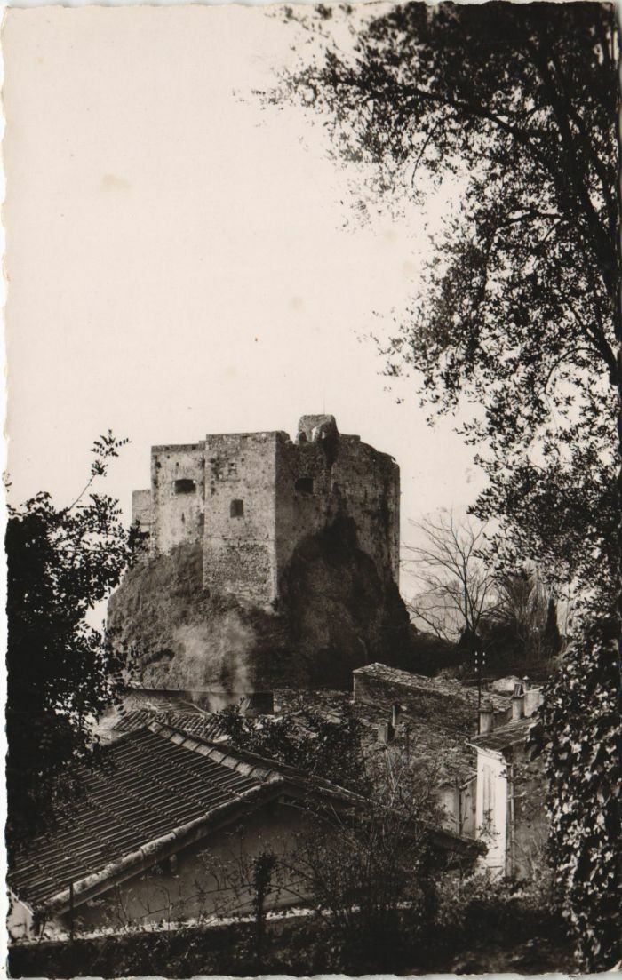CPA ROQUEBRUNE-sur-ARGENS ROQUEBRUNE-VILLAGE - Le Vieux Chateau-Fort (1110653)