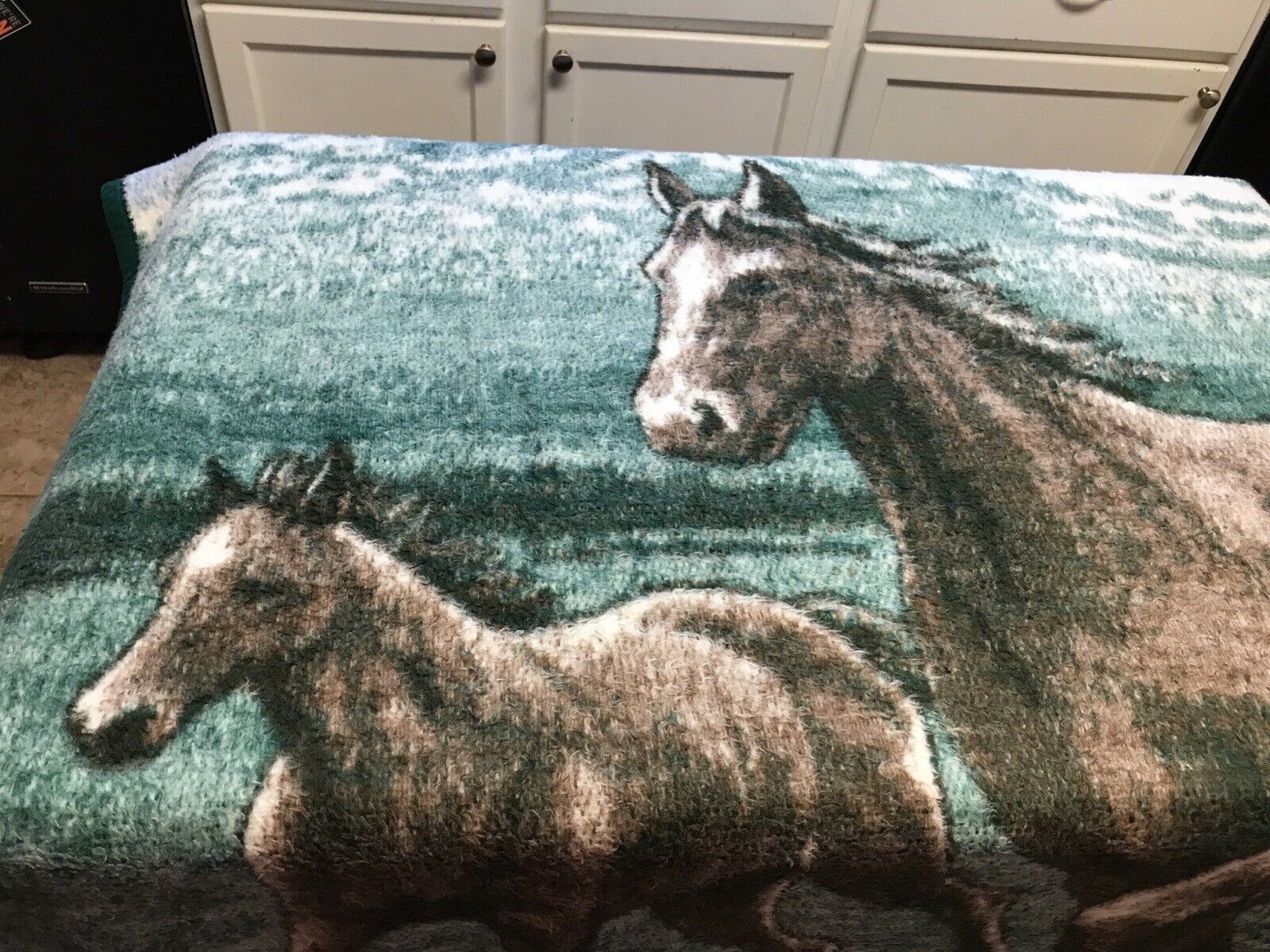 Biederlack Of America Blanket Mare With Foal Running Mountains 72”x 56”