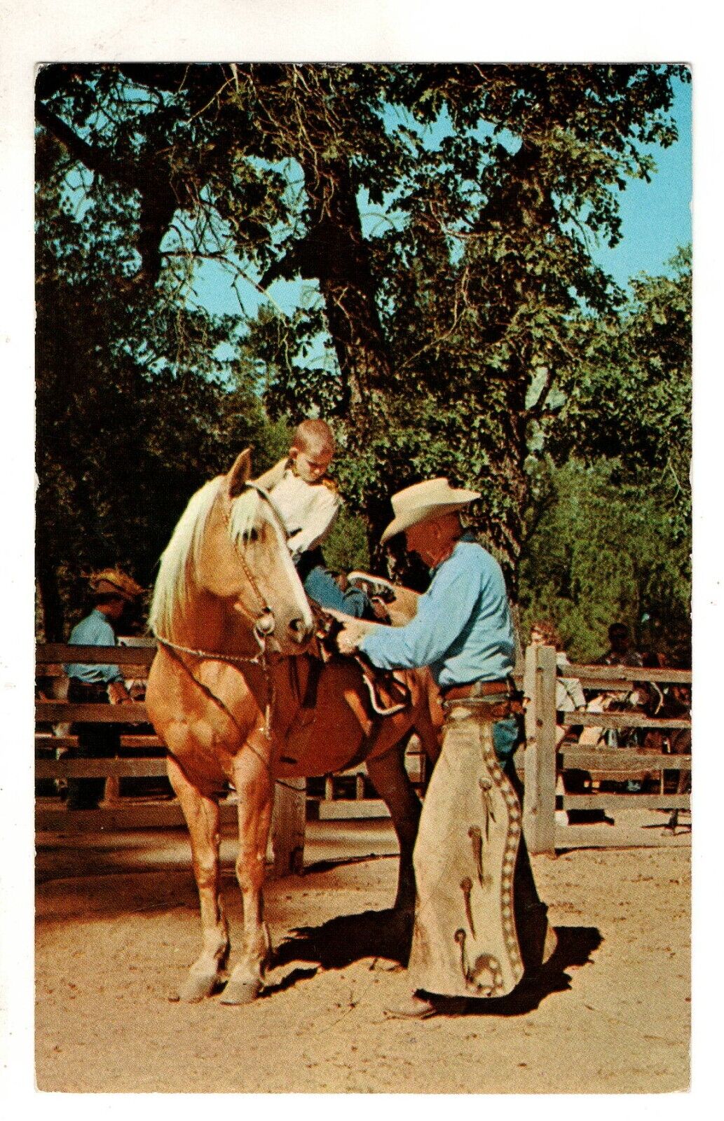 Postcard CA Yosemite Horse Stables  Vintage California