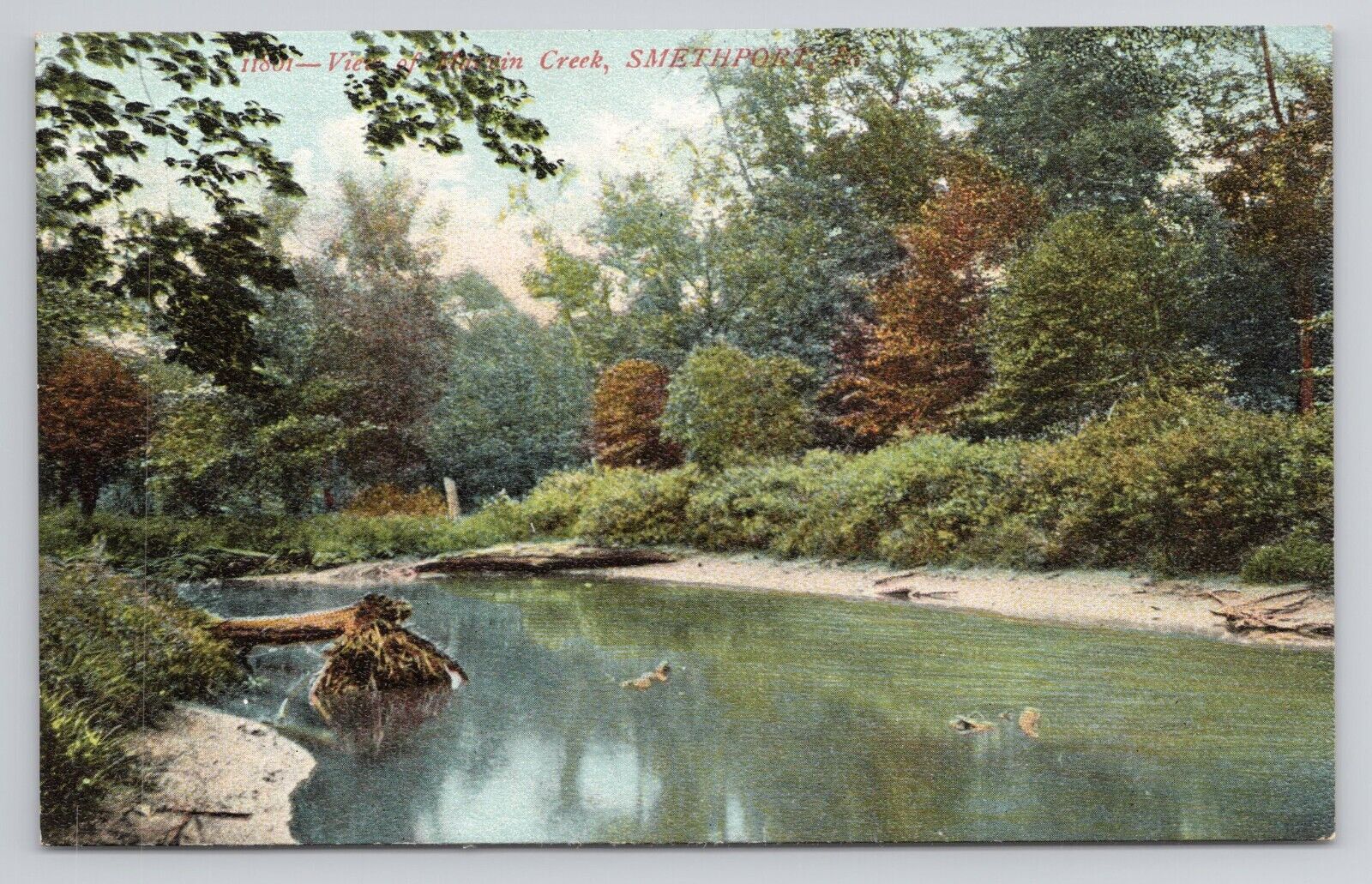 View Of Marvin Creek Smethport Pennsylvania c1910 Antique Postcard