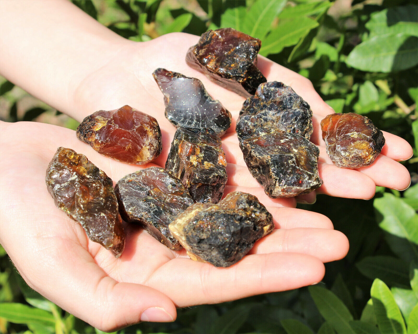 Indonesian Raw Amber - Choose How Many (Natural Rough Black Amber Crystals)