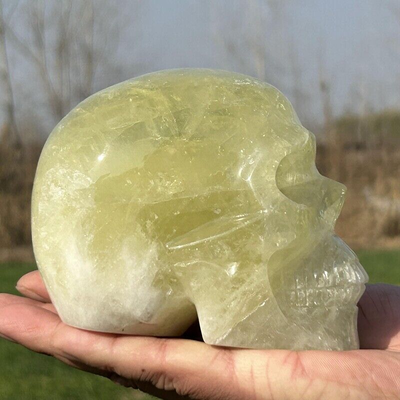 2.74LB Natural Citrine Skull Hand Carved Quartz Crystal Skull Healing Repair