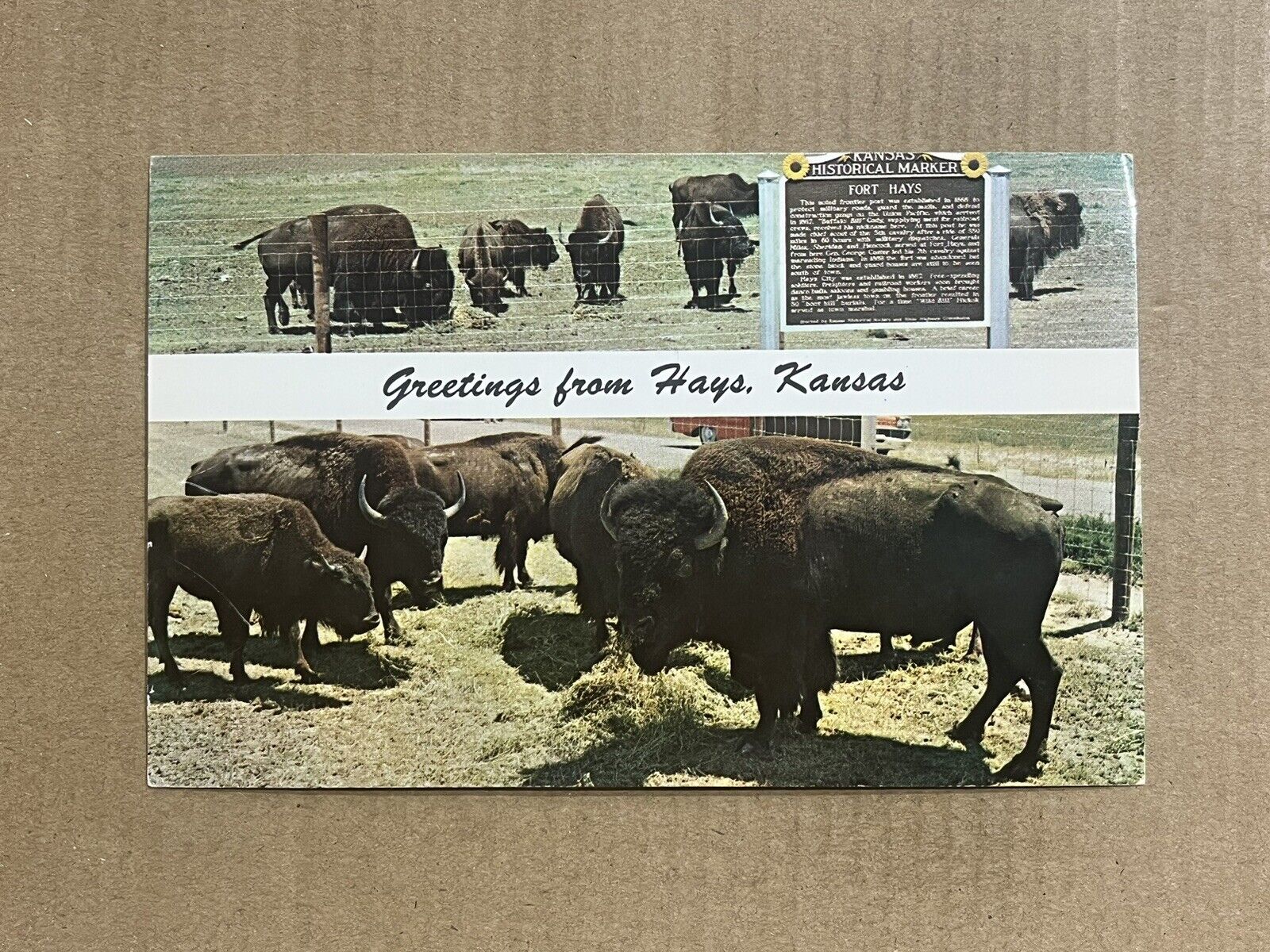 Postcard Kansas Old Fort Hays Buffalo Reservation Banner Greetings Vintage KS