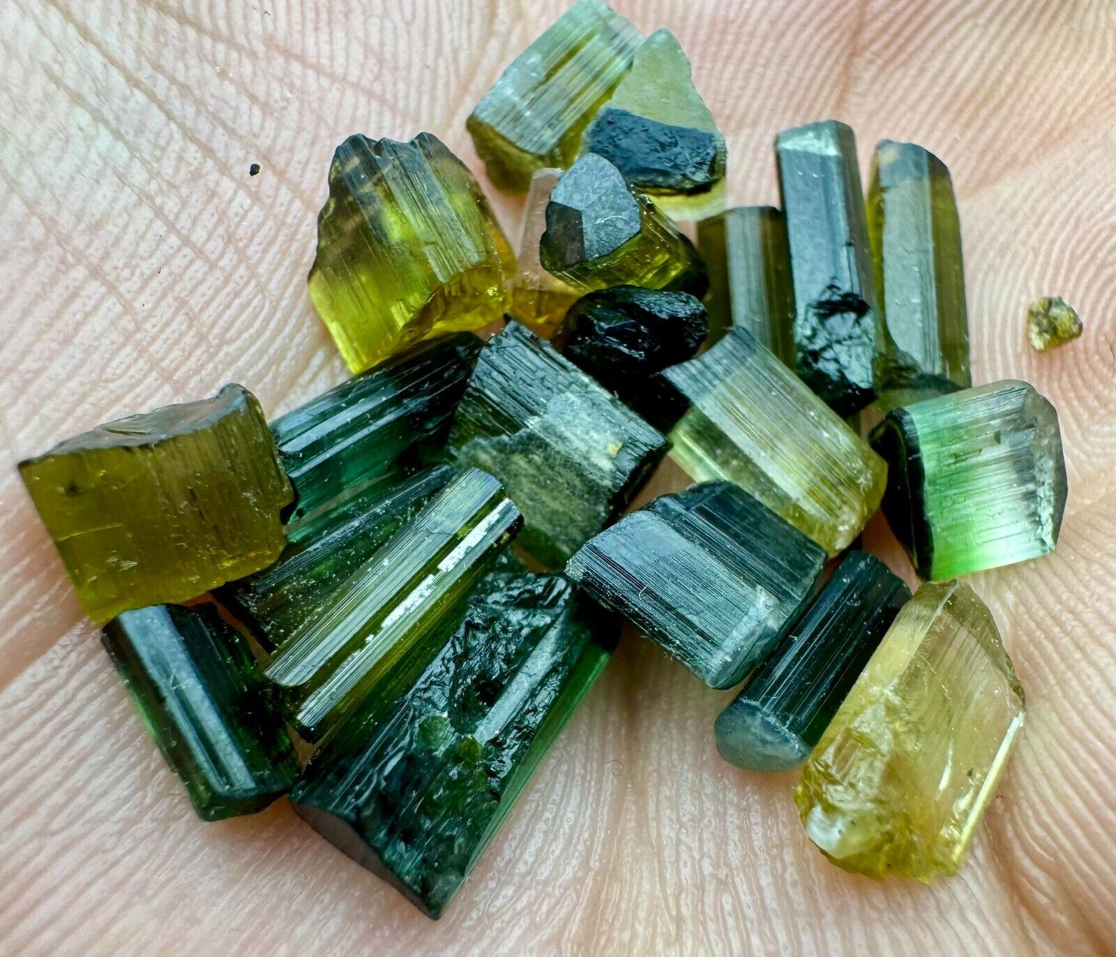 39 Carat Extraordinary Very Beautiful Tourmaline Crystals From Kunar @AFG