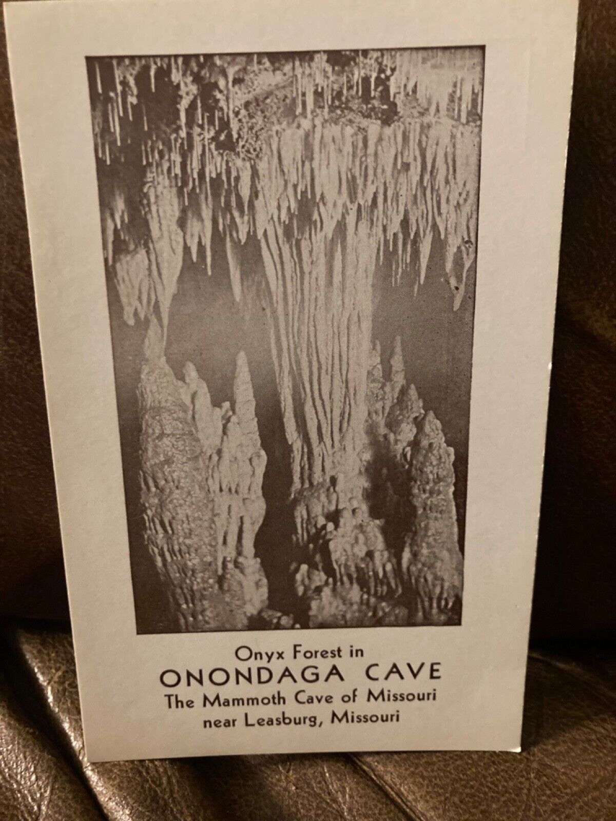 onyx forest in Onondaga cave postcard vintage