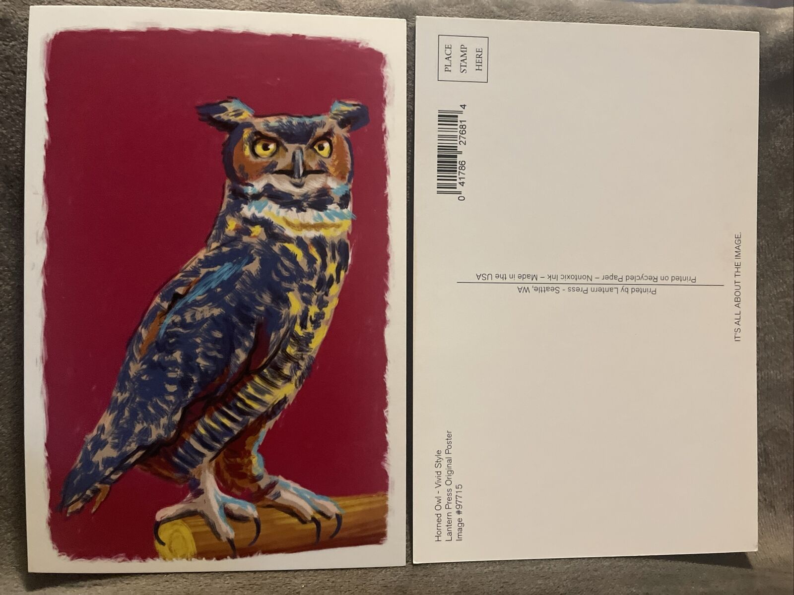 Lantern Press Postcard Horned Owl