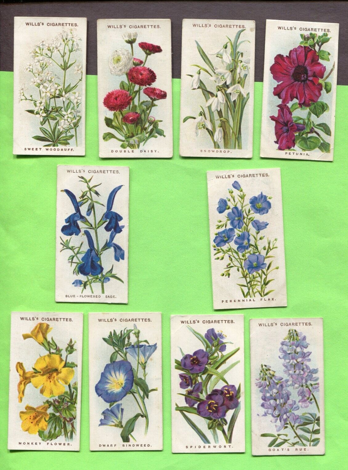 1913 W.D. & H.O. WILLS CIGARETTES OLD ENGLISH GARDEN FLOWER 2ND 10 TOBACCO CARDS