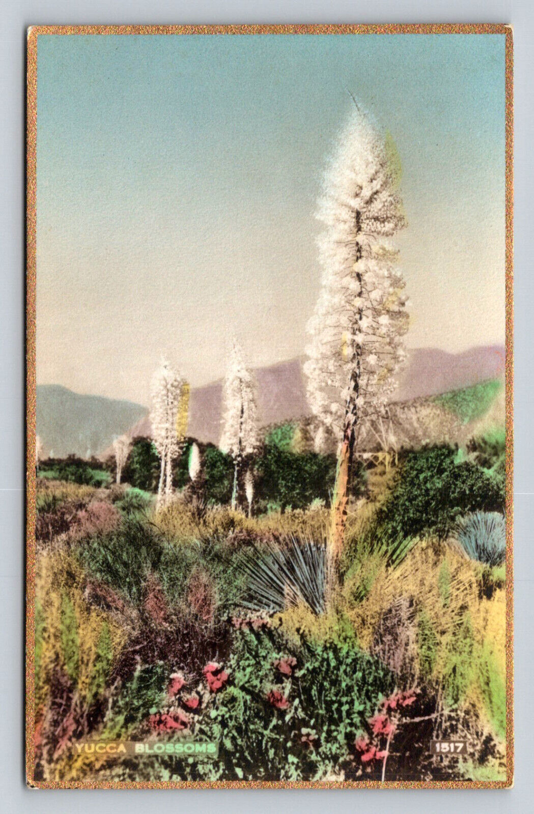 RPPC Fred Martin Yucca Blossoms Hand Colored Photograph California P807