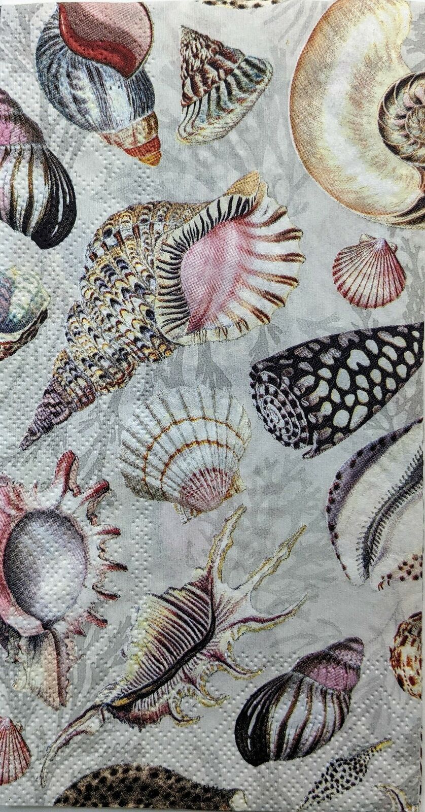 TWO Individual Paper Guest Decoupage Napkins - 1441 Shells of the Sea