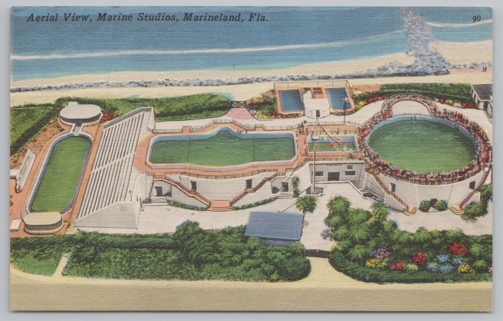 Theme Park~Marineland Florida~Marine Studios Tanks Aerial View~Linen Postcard