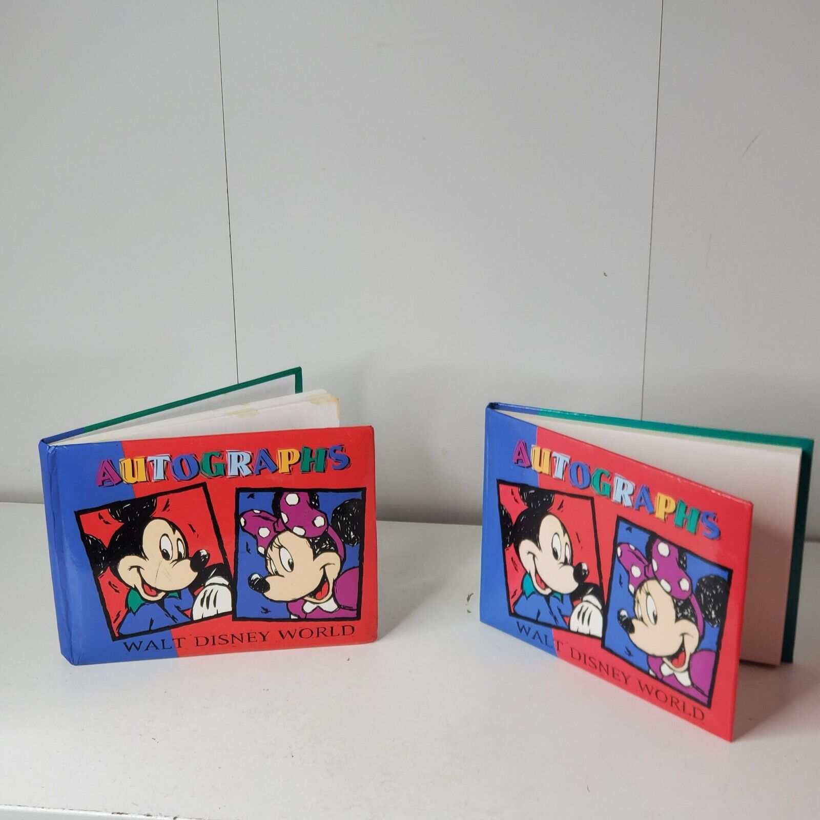 Lot of 2 Disneyland Park 1990s Autograph Books With 30+ Character Signatures