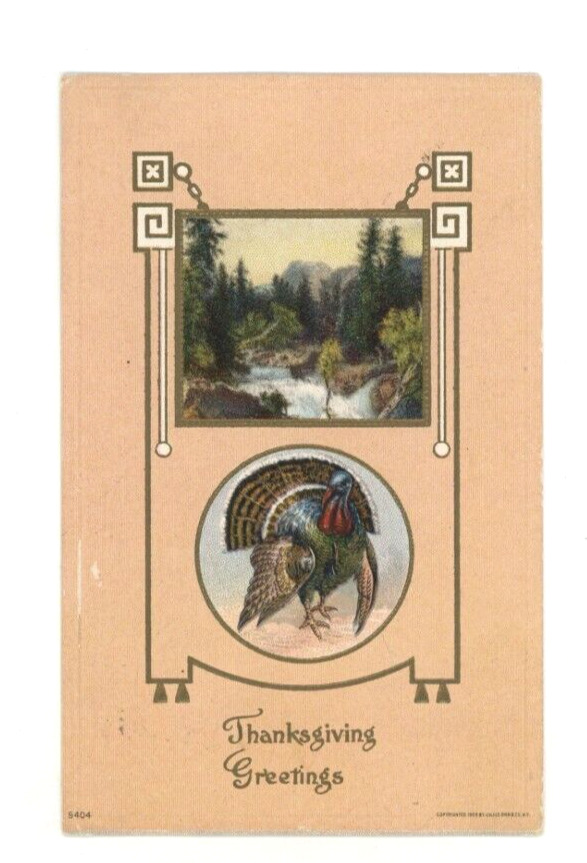 Vintage Thanksgiving Postcard TURKEY   WATERFALL  GOLD   EMBOSSED POSTED 1909