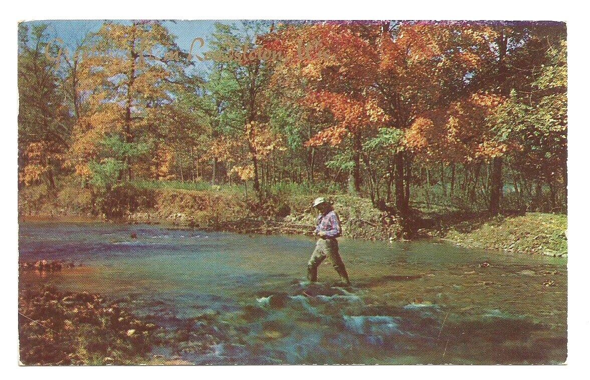 Greetings Readstown Wisconsin WI Postcard Fishing Autumn c1950s