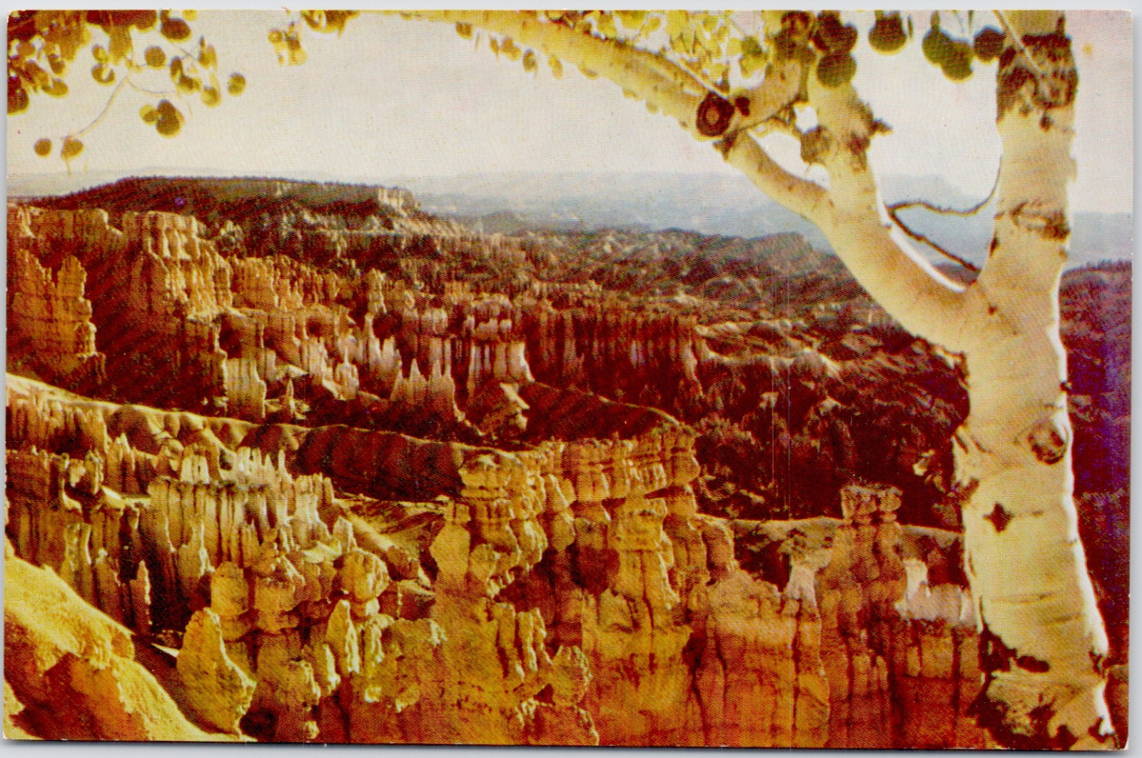 Bryce Canyon From Sunset Point Ages Of Erosion Utah Steeples Vintage Postcard