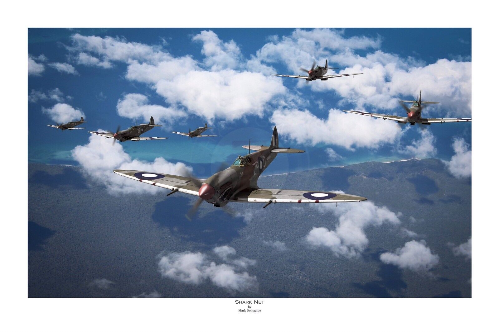 WWII WW2 RAAF 457 Squadron Spitfire MkVIII Aviation Art Photo Print - 8\