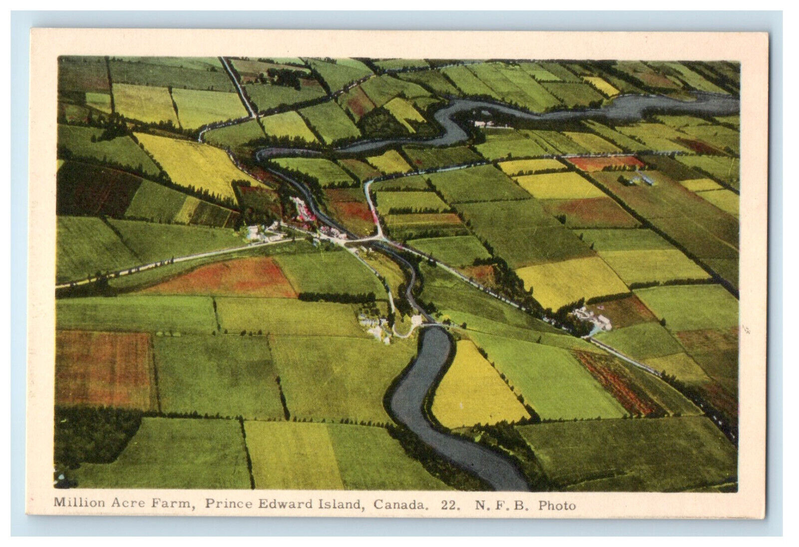c1950s Million Acre Farm Prince Edward Island Canada NFB Photo Postcard
