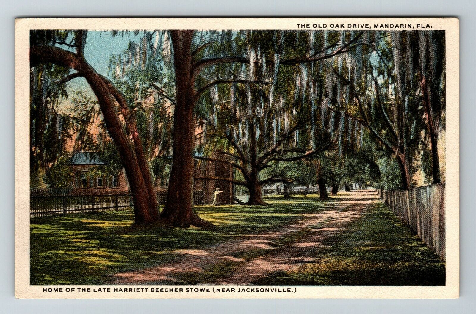 Mandarin FL-Florida, Old Oak Drive, Harriett Beecher Stowe Home Vintage Postcard