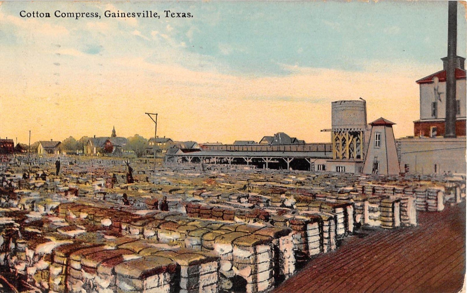 1913 Cotton Compress Gainesville TX post card