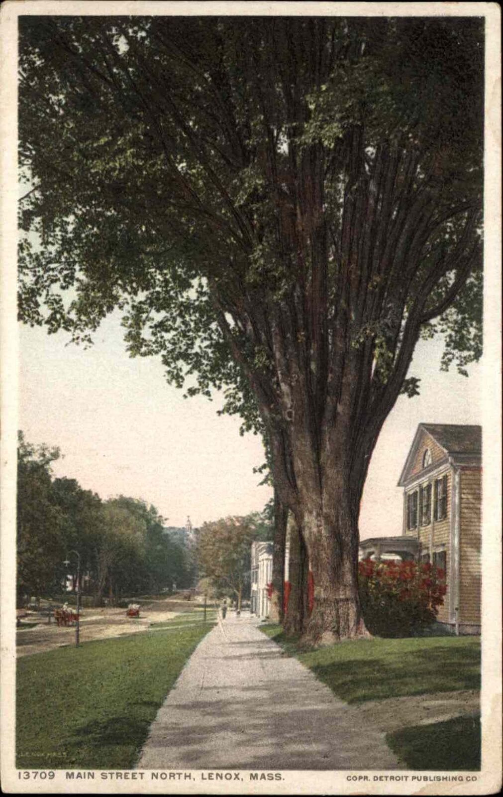 Lenox Massachusetts MA Main Street 13709 Detroit Publishing c1910 Postcard