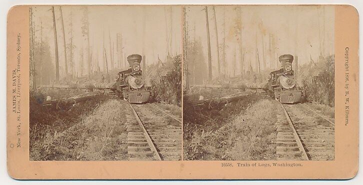 WASHINGTON SV - Logging Train - BW Kilburn c1896