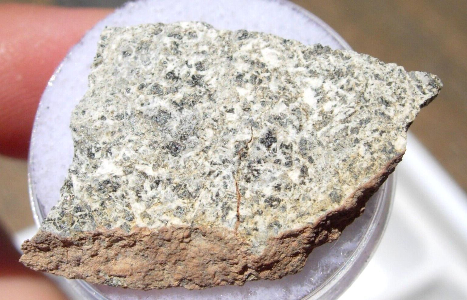 3.26 grams slice NWA 14682 Meteorite HED achondrite (Eucrite, unbrecciated ) COA