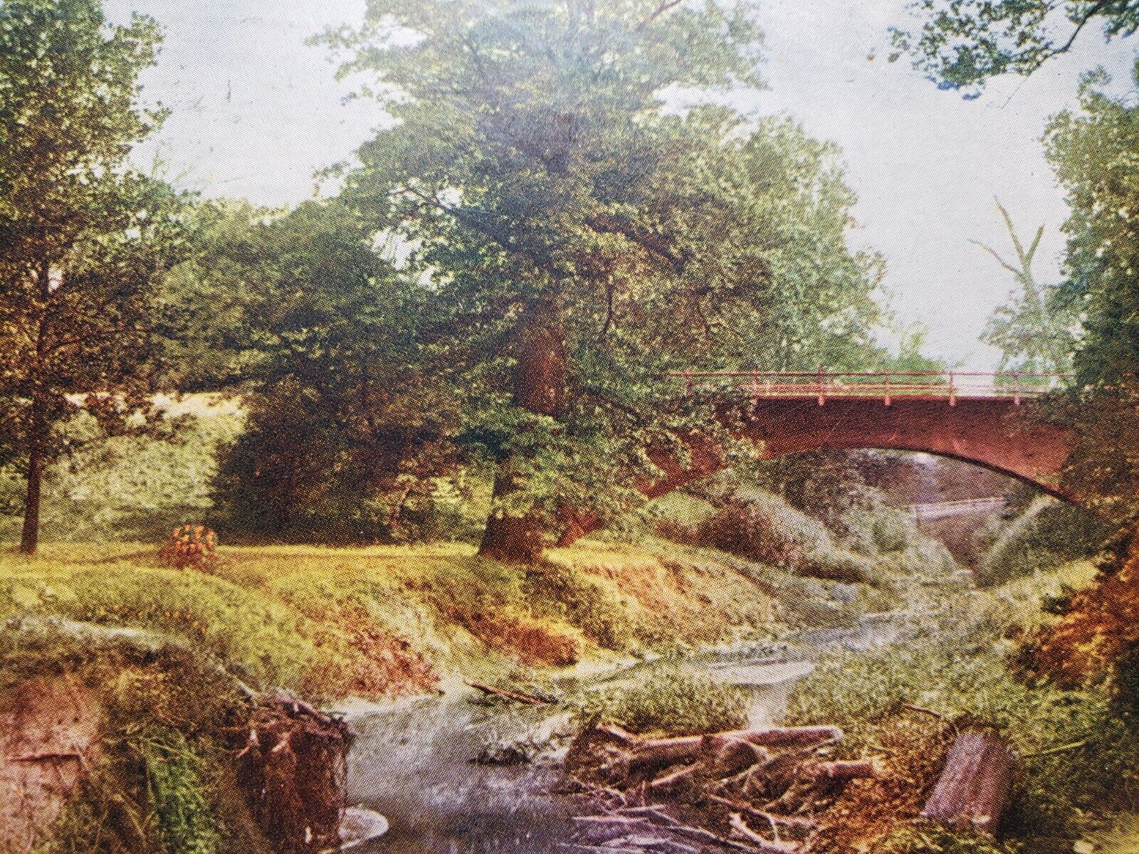 C 1910 Bridge River Scene in Forest Park St Louis MO Antique DB Postcard