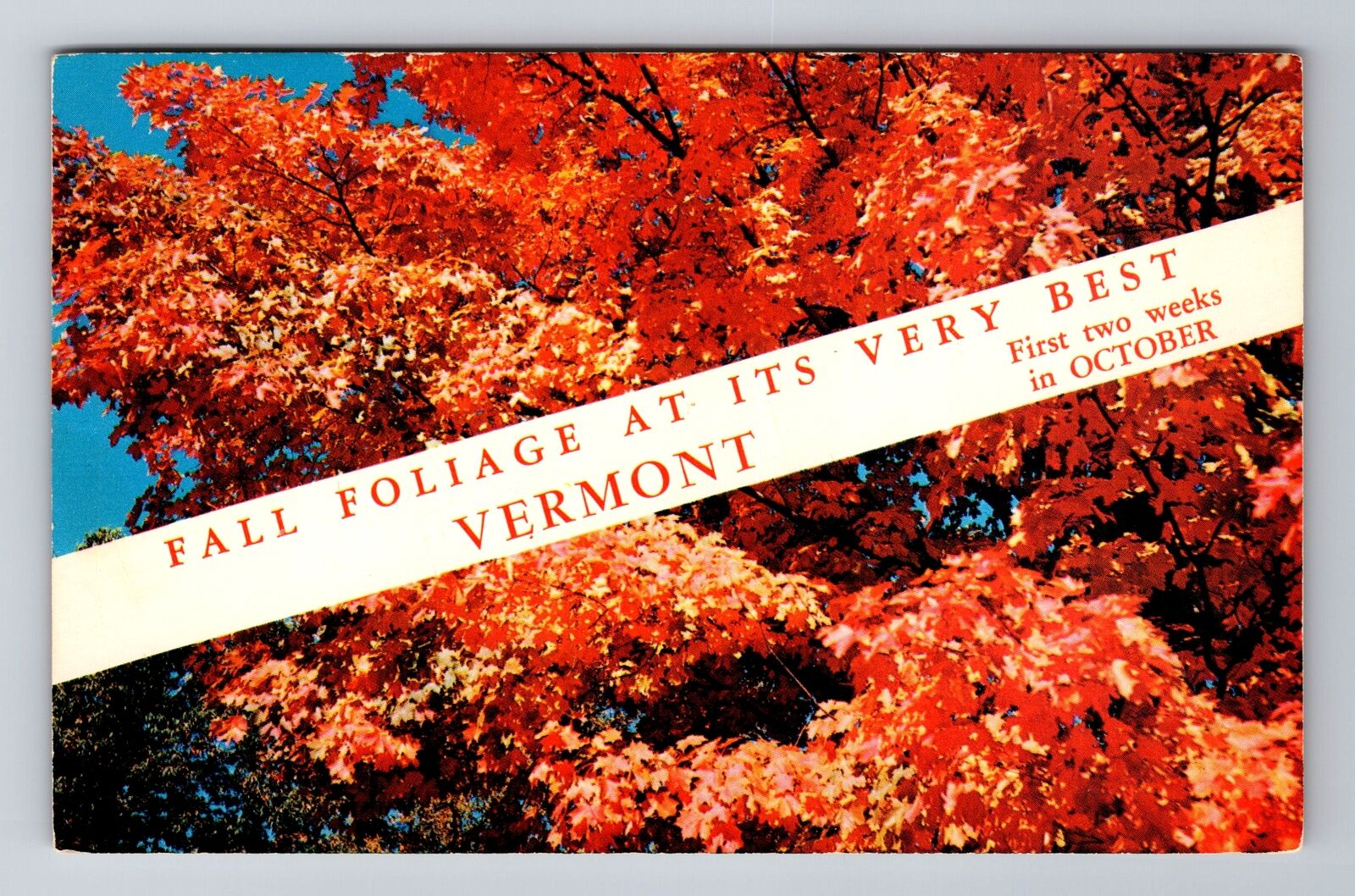 VT-Vermont, Fall Foliage Banner Greetings, Antique, Vintage Souvenir Postcard