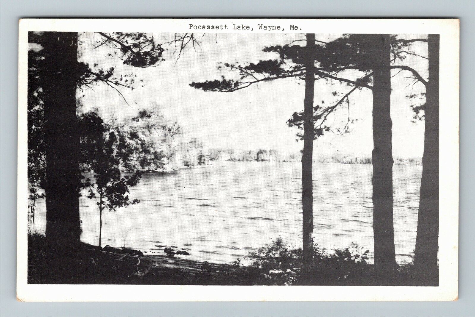 Wayne ME-Maine, Pocassett Lake, c1951 Vintage Postcard