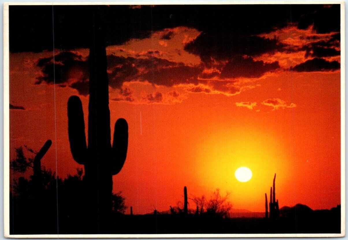 Postcard - Desert Sunset