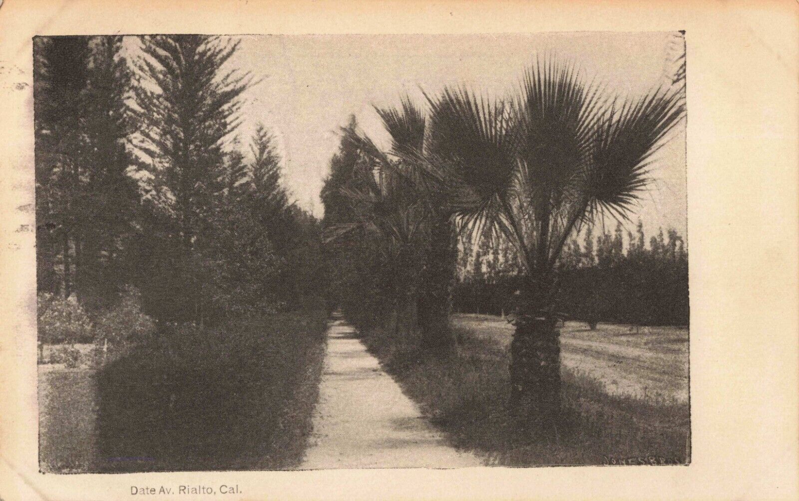 Date Avenue, Rialto, California CA - 1909 Vintage Postcard
