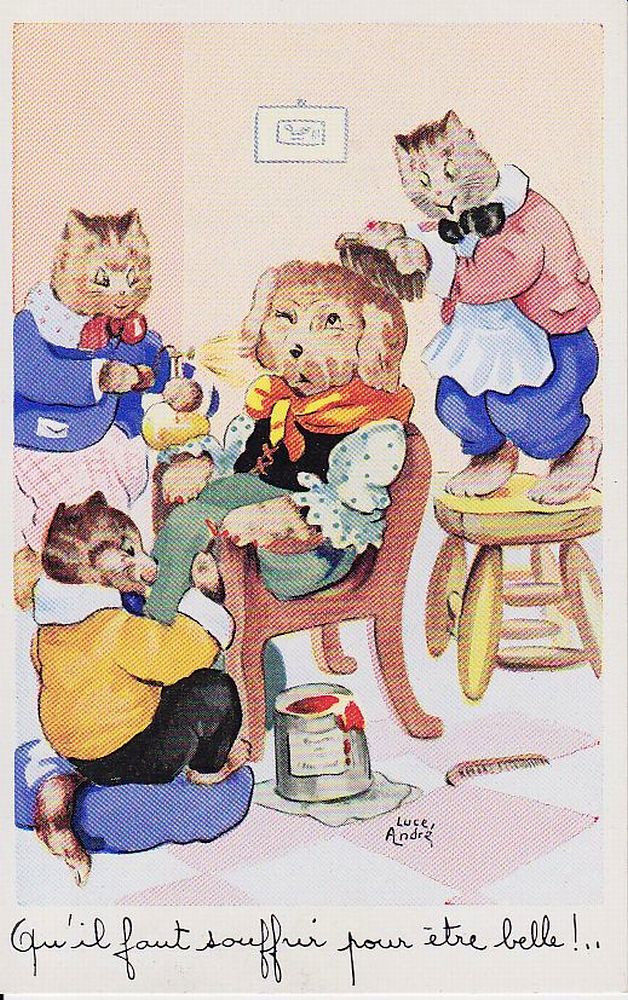 CATS ARTIST SIGNED LIGHT ANDRE 13 Vintage Postcards (L5798)