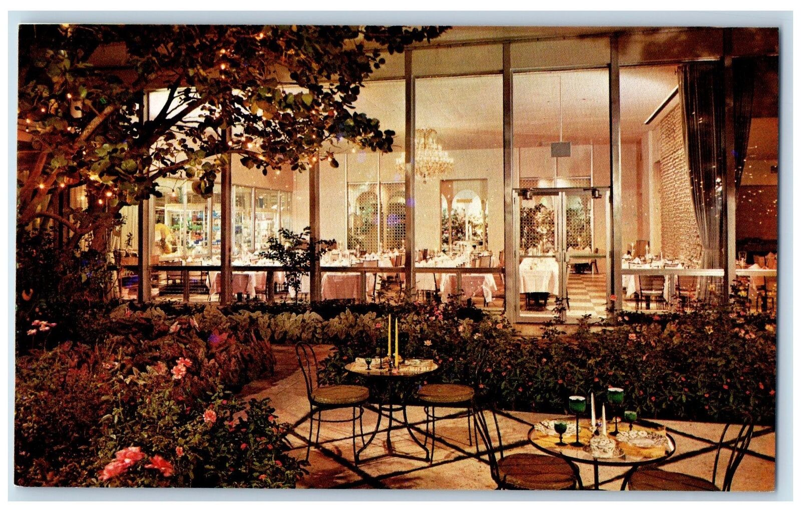 c1960s Patricia Murphy\'s Candlelight Restaurant Fort Lauderdale FL Tree Postcard