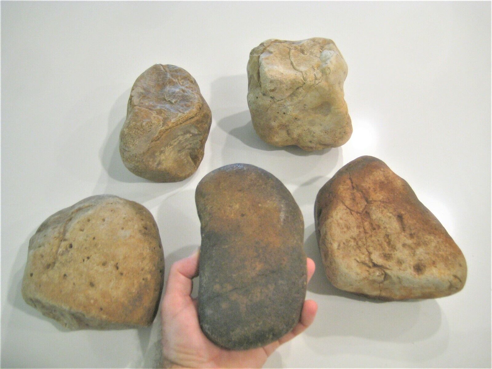 5 Large FLINT CHERT Stones for Arrow Spearhead Knapping 15-18 Lbs. 