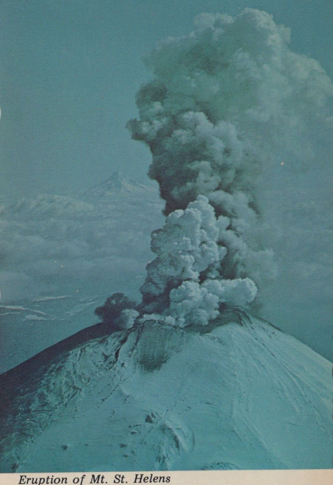 Mount St. Helen Eruption Volcano Washington May 18, 1980 Postcard