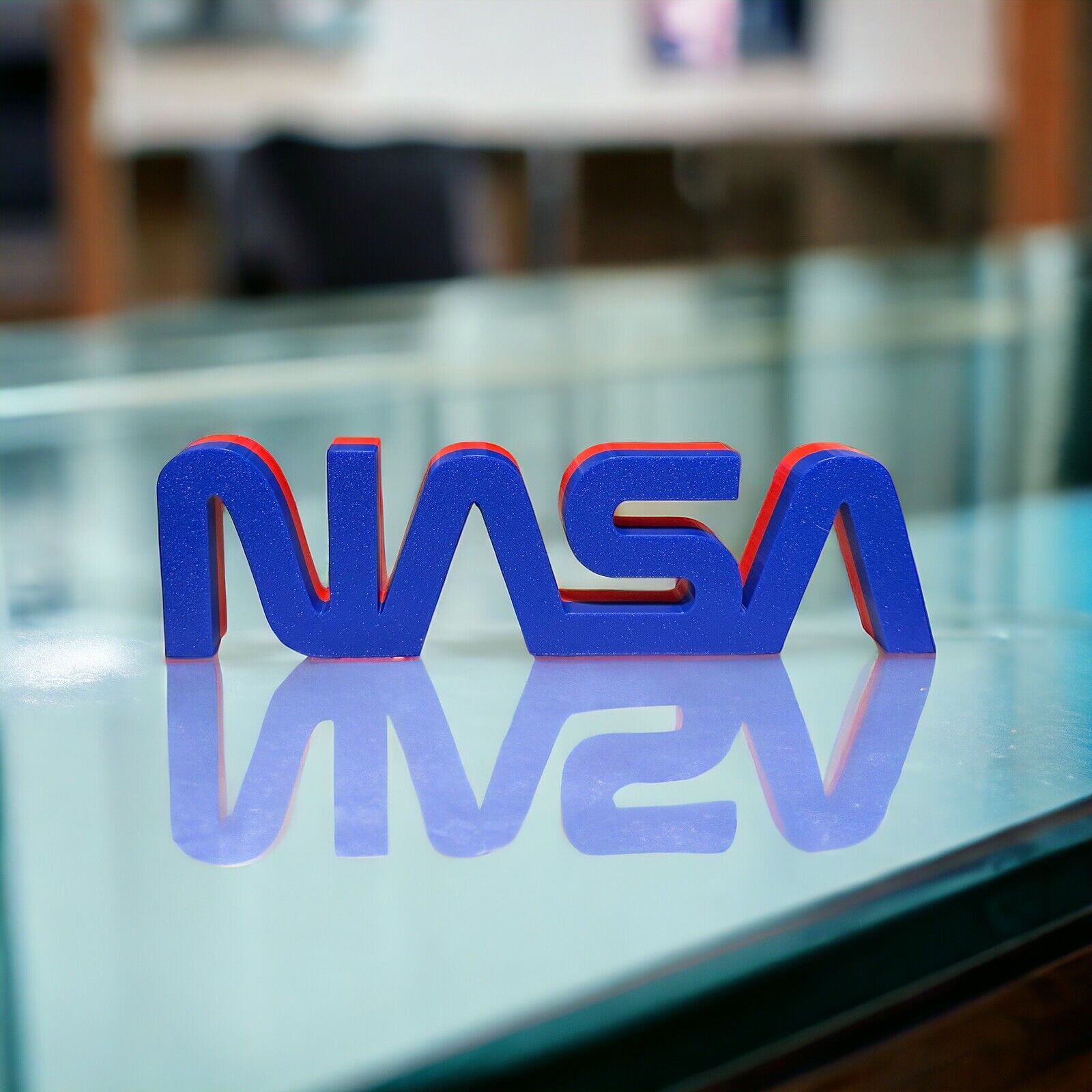 3D Printed NASA WORM Logo Display 8-Inch Dual-Color Red/Blue Textured Finish