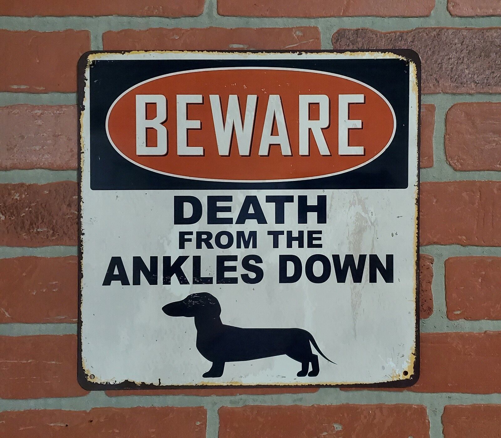  Funny Beware Sign- Dachshund - Great For The She Shed, Man ,Cave, Garage, Home